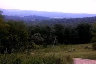 Lot 7 W Blue Goose Rd, Friendsville, MD 21531 - Photo 1