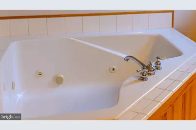 220 Woodlands Hill Lane, Oakland, MD 21550 - Photo 47