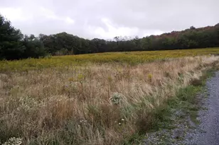 Garrett Trail, Oakland, MD 21550 - Photo 1