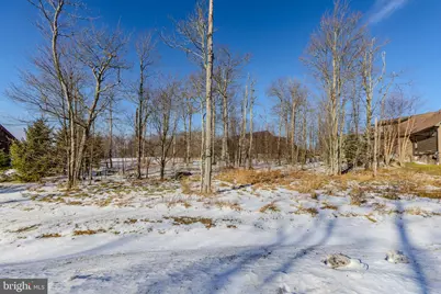 57 North Camp Road, Mc Henry, MD 21541 - Photo 19