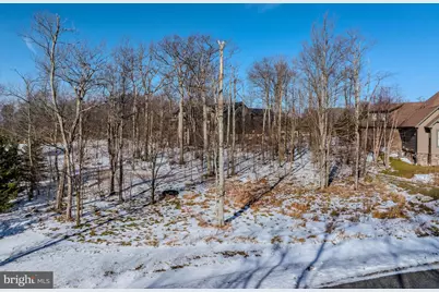 57 North Camp Road, Mc Henry, MD 21541 - Photo 29