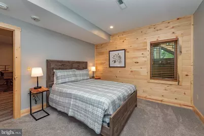 110 Wisp Adventure Road, Mc Henry, MD 21541 - Photo 43