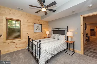 110 Wisp Adventure Road, Mc Henry, MD 21541 - Photo 51