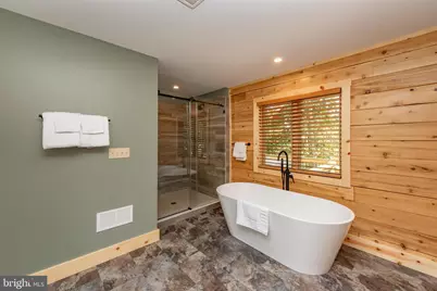 110 Wisp Adventure Road, Mc Henry, MD 21541 - Photo 21