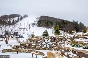 290 Marsh Hill Rd, Mc Henry, MD 21541 - Photo 23