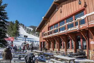 290 Marsh Hill Rd, Mc Henry, MD 21541 - Photo 33