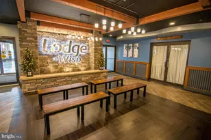 290 Marsh Hill, Mc Henry, MD 21541 - Photo 23