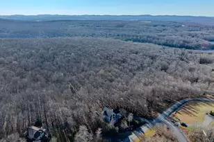 444 Woodlands Hill Ln, Oakland, MD 21550 - Photo 61