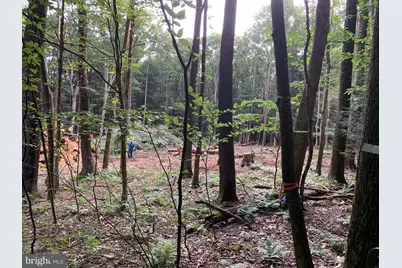 62 Wild Turkey Court, Oakland, MD 21550 - Photo 23