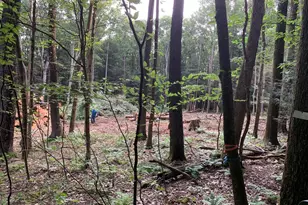 62 Wild Turkey Ct, Oakland, MD 21550 - Photo 23