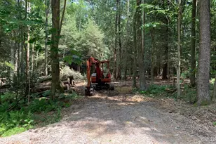 62 Wild Turkey Ct, Oakland, MD 21550 - Photo 21