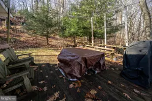 16 Lemley, Oakland, MD 21550 - Photo 57