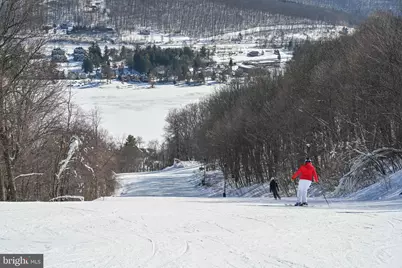 542 Bench Road, Swanton, MD 21561 - Photo 53