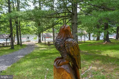 542 Bench Road, Swanton, MD 21561 - Photo 51