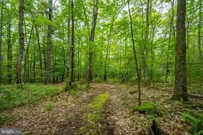 12 Michelle Drive, Swanton, MD 21561 - Photo 11