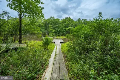 12 Michelle Drive, Swanton, MD 21561 - Photo 15