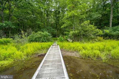 12 Michelle Drive, Swanton, MD 21561 - Photo 21