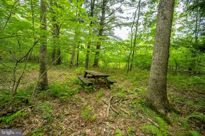 12 Michelle Drive, Swanton, MD 21561 - Photo 9