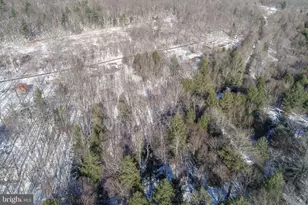 27 Pullin Hollow Rd, Grantsville, MD 21536 - Photo 41