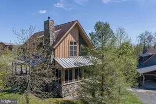 105 Mountain Overlook Ct, Mc Henry, MD 21541 - Photo 53