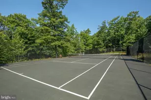 105 Mountain Overlook Ct, Mc Henry, MD 21541 - Photo 71