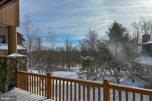 105 Mountain Overlook Ct, Mc Henry, MD 21541 - Photo 51