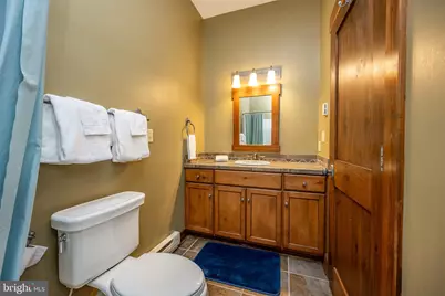 105 Mountain Overlook Court, Mc Henry, MD 21541 - Photo 69