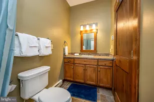 105 Mountain Overlook Ct, Mc Henry, MD 21541 - Photo 69