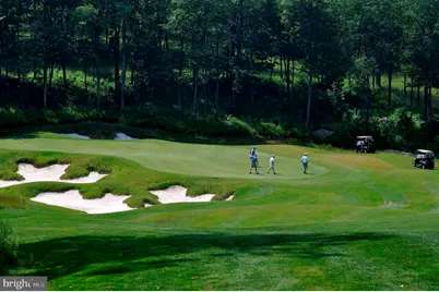 105 Mountain Overlook Court, Mc Henry, MD 21541 - Photo 101