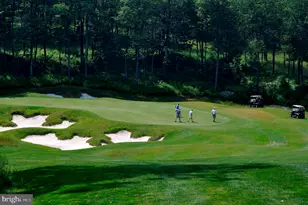 105 Mountain Overlook Ct, Mc Henry, MD 21541 - Photo 101