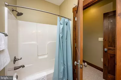 105 Mountain Overlook Court, Mc Henry, MD 21541 - Photo 49