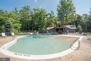 105 Mountain Overlook Ct, Mc Henry, MD 21541 - Photo 65