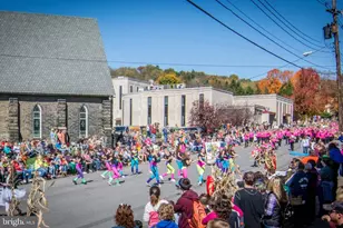 105 Mountain Overlook Ct, Mc Henry, MD 21541 - Photo 99