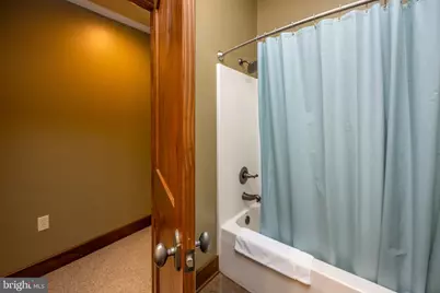 105 Mountain Overlook Court, Mc Henry, MD 21541 - Photo 47