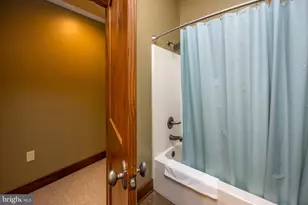 105 Mountain Overlook Ct, Mc Henry, MD 21541 - Photo 47