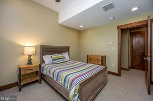 105 Mountain Overlook Ct, Mc Henry, MD 21541 - Photo 43
