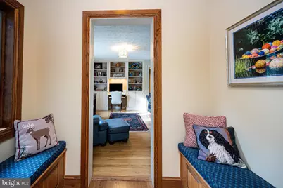 255 Thornberry Road, Oakland, MD 21550 - Photo 65