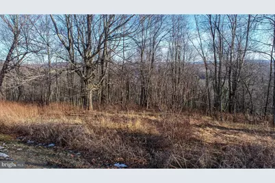 Lot 20 Paradise Ridge Road, Oakland, MD 21550 - Photo 11