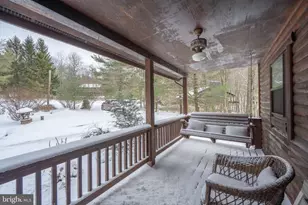 300 Normas Way, Mc Henry, MD 21541 - Photo 41