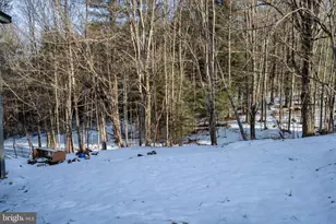 1358 Crellin Underwood Rd, Oakland, MD 21550 - Photo 7