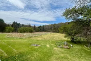 107 Shade Hollow Rd, Grantsville, MD 21536 - Photo 51