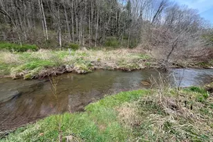 107 Shade Hollow Rd, Grantsville, MD 21536 - Photo 55