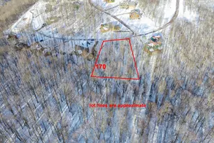 170 Fork Run Trail, Mc Henry, MD 21541 - Photo 1