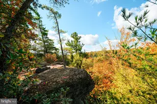 931 Black Oak Dr, Oakland, MD 21550 - Photo 53