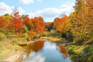 931 Black Oak Dr, Oakland, MD 21550 - Photo 41