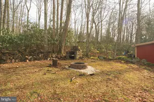 931 Black Oak Dr, Oakland, MD 21550 - Photo 33