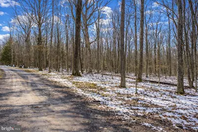 Lot 1 Thomas Circle, Swanton, MD 21561 - Photo 25