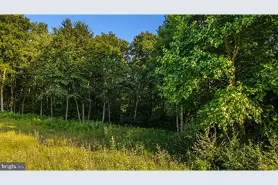Lot 168 Fork Run Trail, Mc Henry, MD 21541 - Photo 3