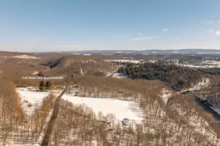 3395 Fingerboard Rd, Oakland, MD 21550 - Photo 3