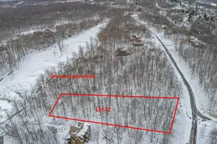 72 Sundance Way, Mc Henry, MD 21541 - Photo 1